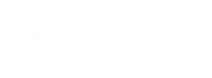 shopifypartner-ndimensionlabs.com