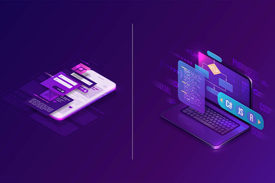 Native vs. Web Application – Which is Best for Your Business?